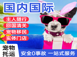 九江庐山航空邮寄国际宠物托运 【国